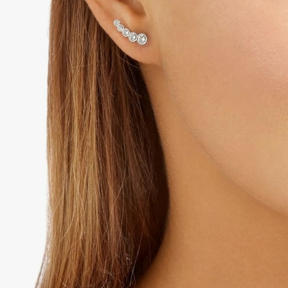 Silver Cubic Zirconia Ear Crawler Earrings - Silver